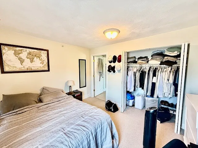 10 Harris St #5 — Photo 13
