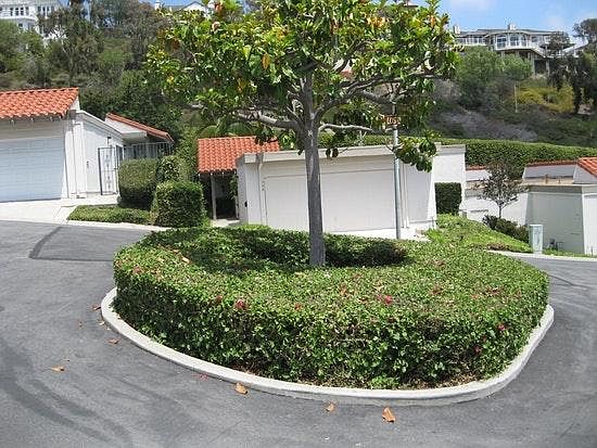 2nd image of 758 Calle Los Olivos