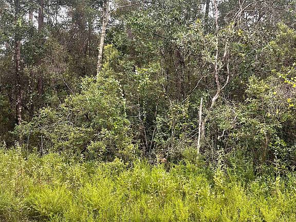 3rd image of Xx Seminole Ln