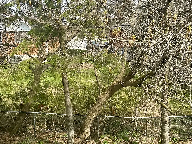 121 Heydon Ave — Photo 6