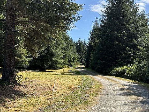 3rd image of 35314 State Highway 16 Lot 1
