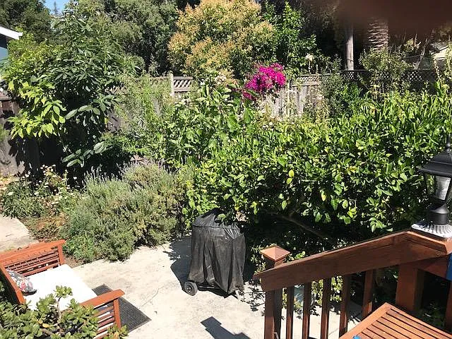 Your Backyard