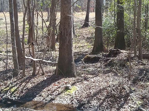 creek runs through back 