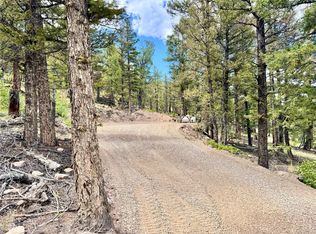 2843 Redhill Rd, Fairplay, CO 80440