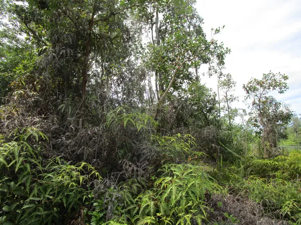 18th Ave Lot 365, Keaau, HI 96749