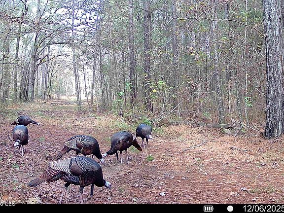 3rd image of 560 Pocahontas Rd