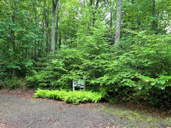 Forest Park Ln, Fancy Gap, VA 24328