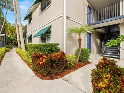 3817 W Platt St APT 306, Tampa, FL, 33609