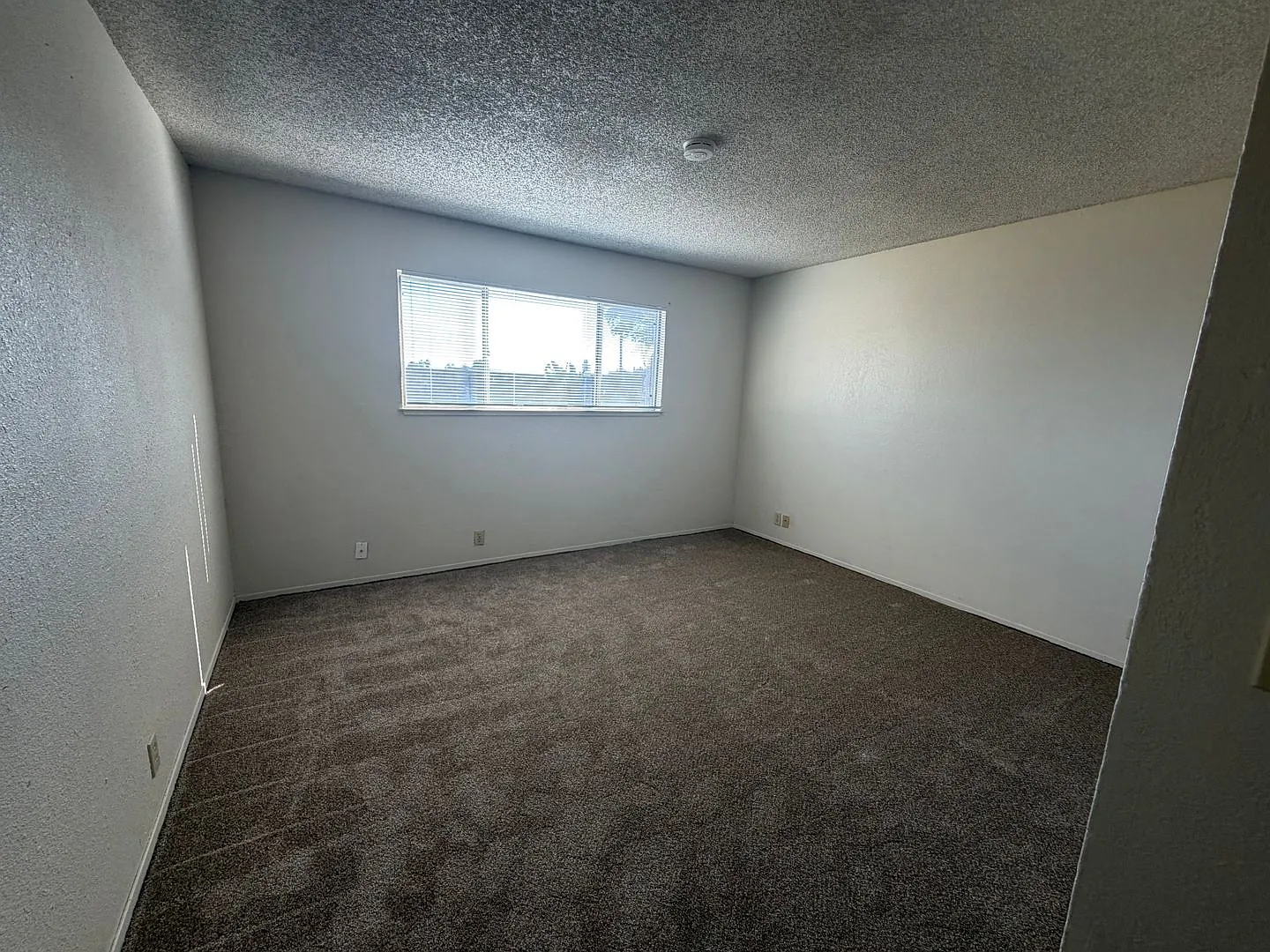 Newly updated home — Photo 4