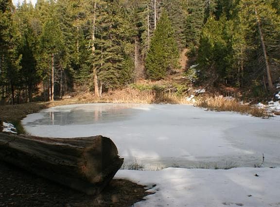 5th image of 52770 Road 632