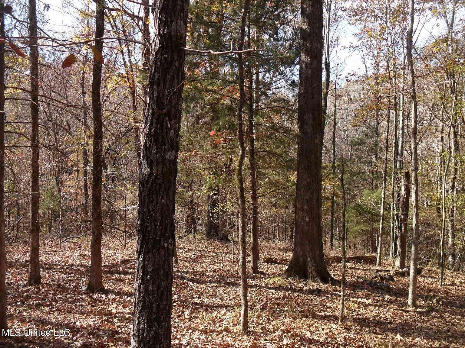 3059 Sardis Lake Dr, Batesville, MS 38606 Zillow