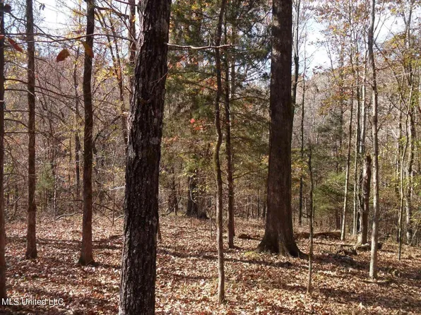 3059 Sardis Lake Dr, Batesville, MS 38606