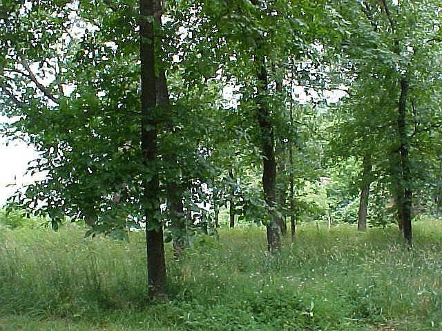 2nd image of 0 S 639th Pl