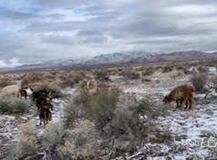 Phyllis Ln, Golconda, NV 89414