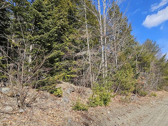 2nd image of 31, 31-1 Weymouth Road