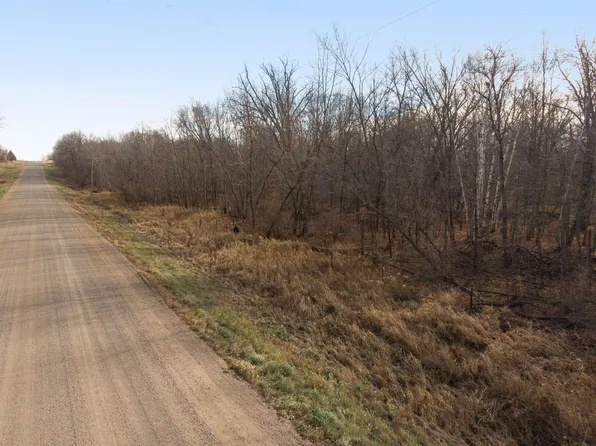 Xxx 140th St, Foreston, MN 56330