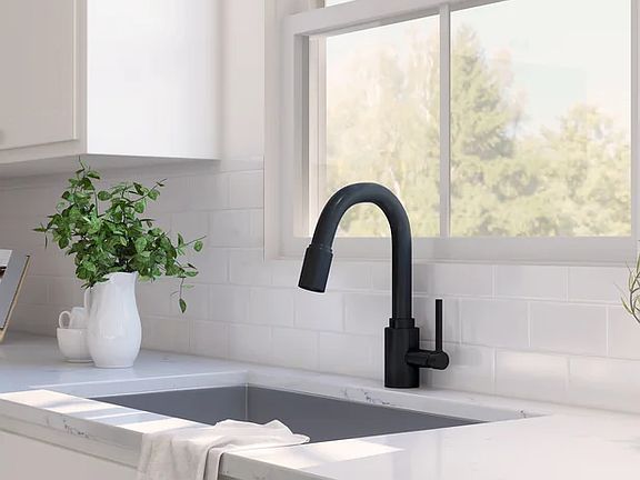 Kitchen with matte black faucet