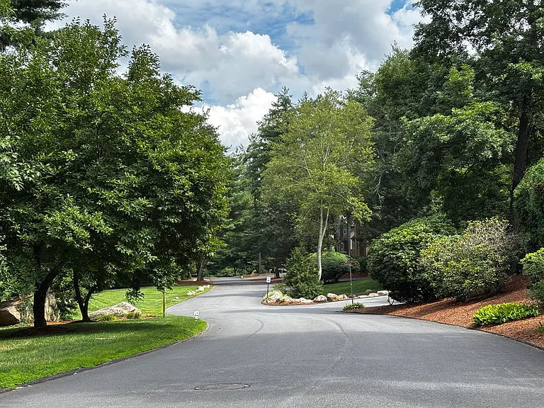 Pine Lake Community