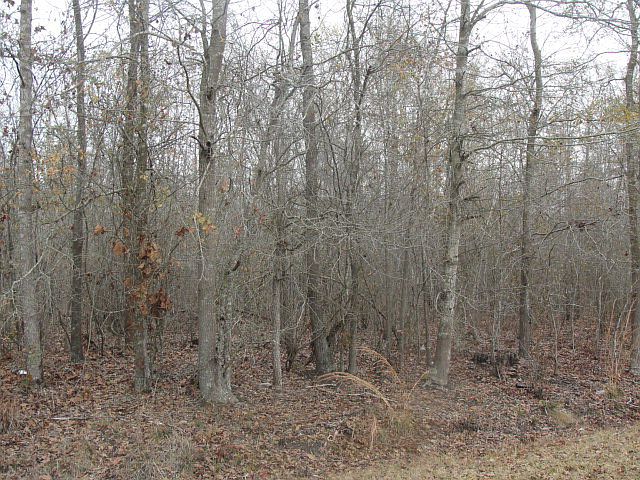 2nd image of 855 Arlington Rd