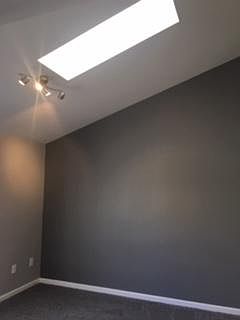 Master Bedroom Skylight