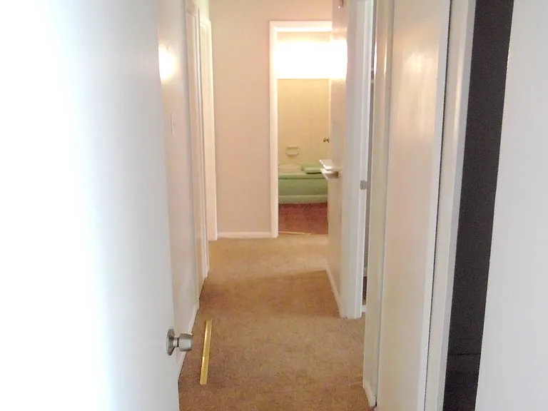 1006 Candice Ln — Photo 5
