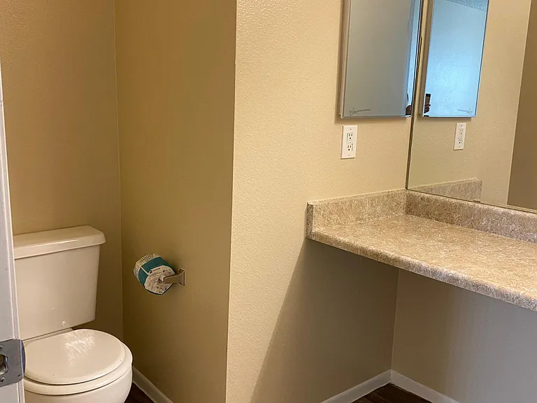 downstairs 2 bedroom - main bedroom bathroom