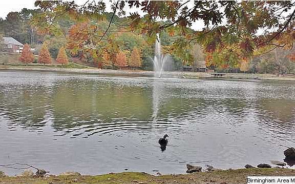 Nearby Star Lake
