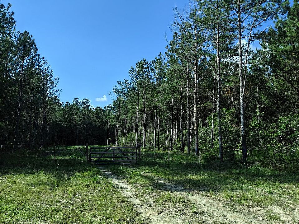 Road into the property