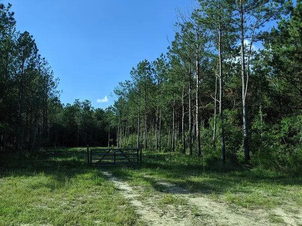 0 Sapp Graveyard Rd, Kountze, TX 77625