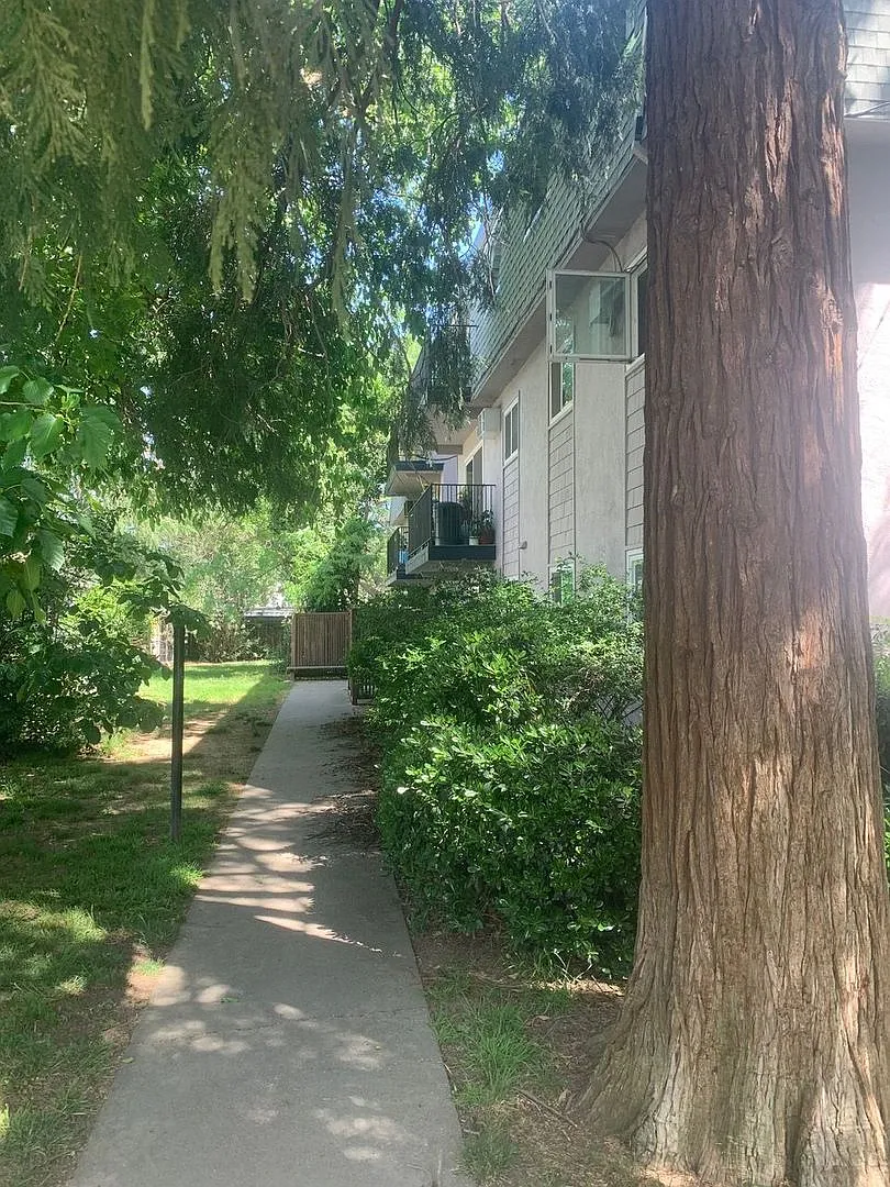 Chateau Apartments — Photo 4