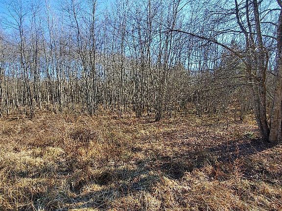 4th image of Sheep Ranch Rd