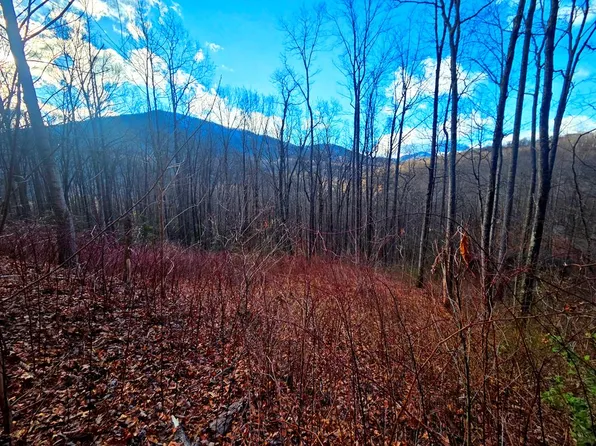 900 Fern Trl, Waynesville, NC 28786