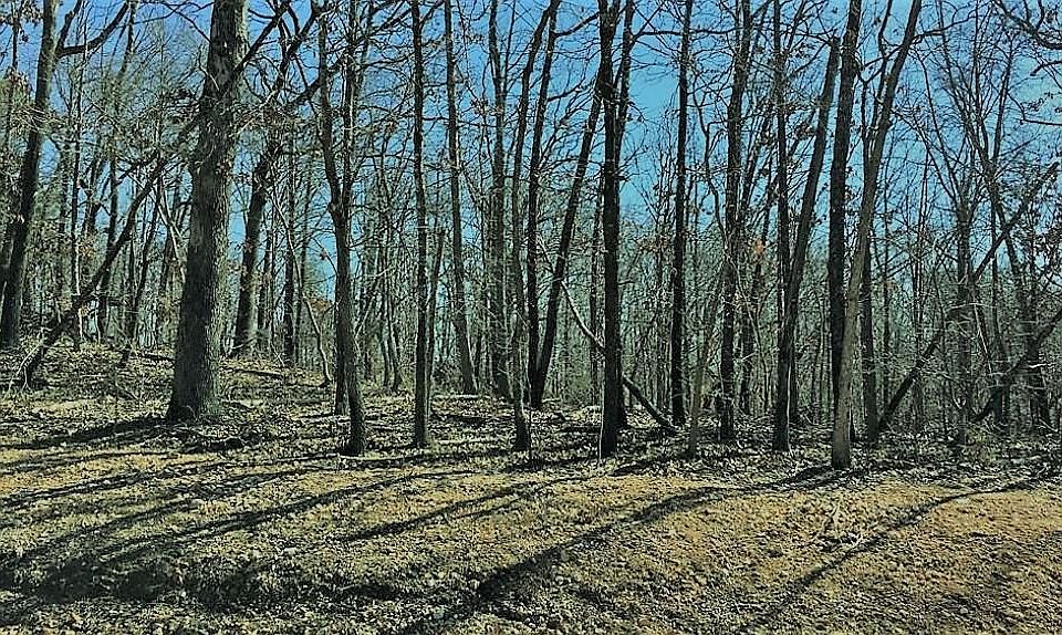 1st image of Sheffield Dr #35