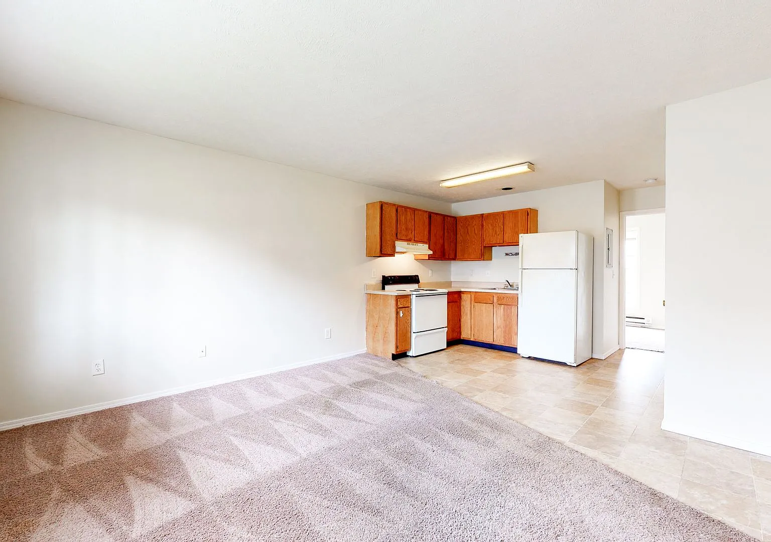 106 W Shelbourne — Photo 3