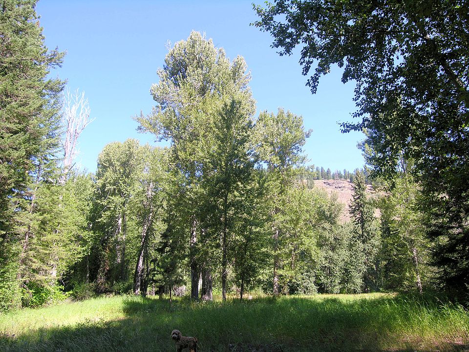 1st image of 212 C West Buttermilk Creek Road