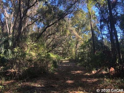 Tbd Sw 81 St, Gainesville, FL, 32608