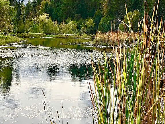 Country home lodge with 17 acres