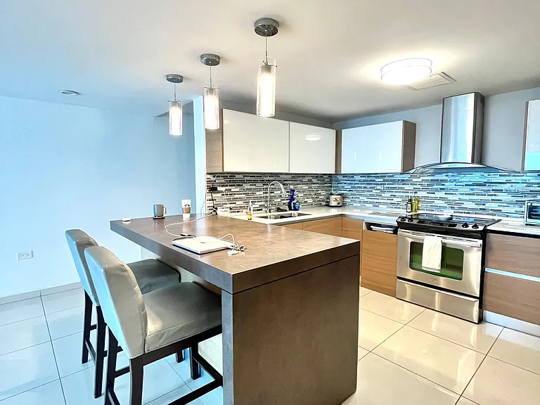 48 Luis Munoz Rivera Ave #1502 — Photo 4