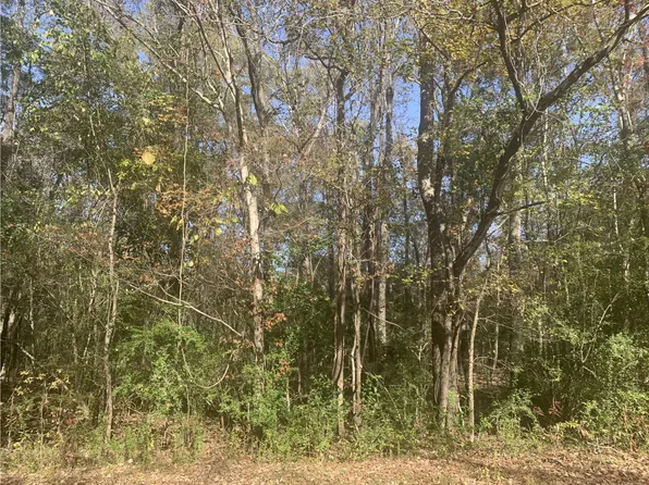 LOT 21 Mary Ellie Dr, Summerville, SC 29483