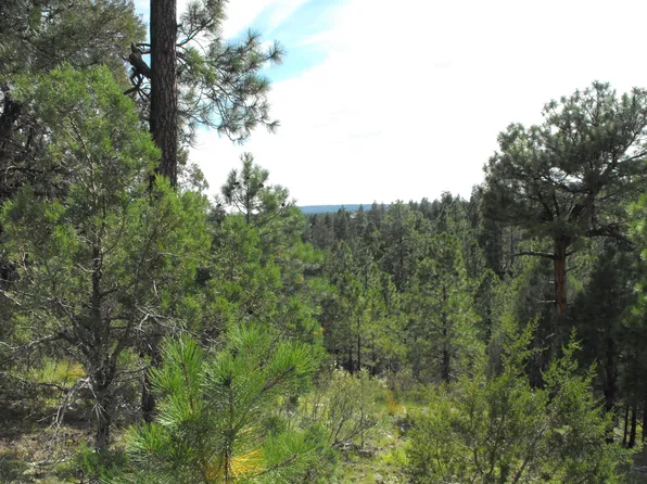 814 Kohners Ridge Dr, Happy Jack, AZ 86024