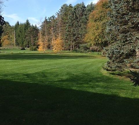5th image of 5564 Briar Glen Dr