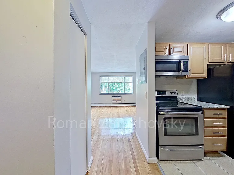 236 Babcock St #3 — Photo 9