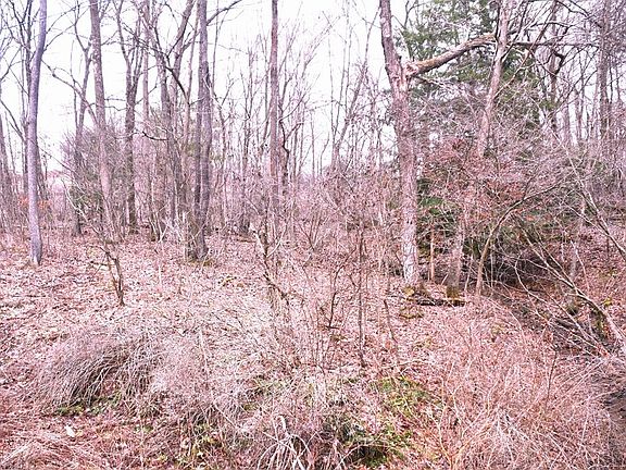 4th image of 0 Piney Rd