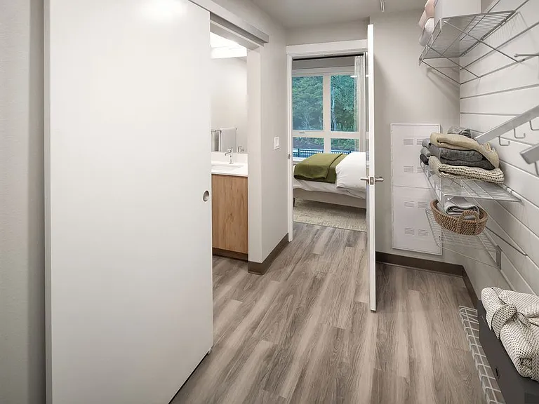 Walk-in closet
