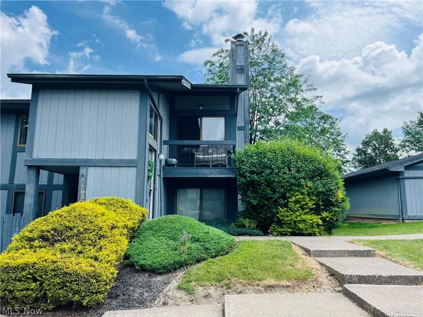 7047 Bristlewood Dr, Painesville, OH 44077