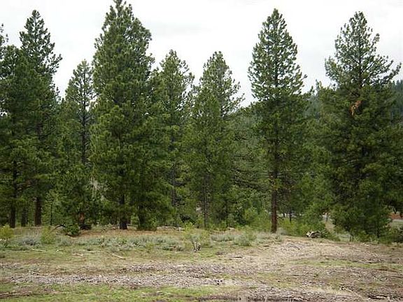3rd image of LOT 26 Old Highway 95