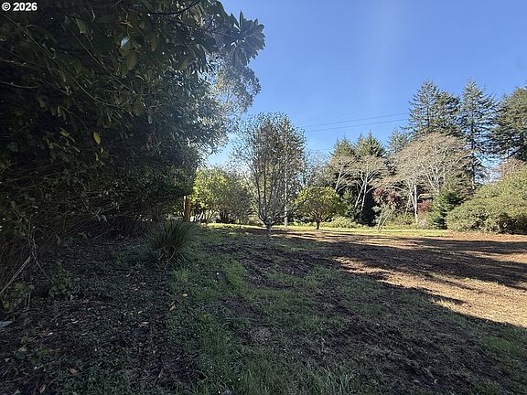 4th image of 1300 Hampton Rd