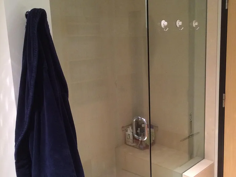 Primary bath shower