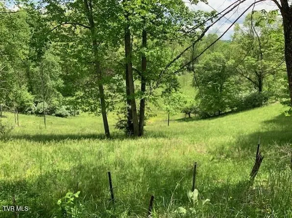 1478 Bellamy Tipton Rd, Gate City, VA 24251