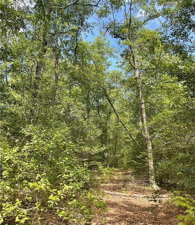 1st image of LOT 12 Dragon Run Ln